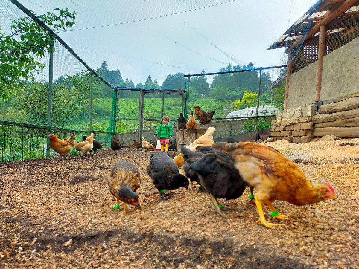 Yokomura Eco-Lodge Uenohara Ngoại thất bức ảnh